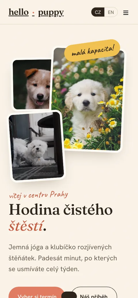 Hello Puppy – úvodní stránka na mobilu